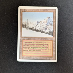 MTG \\>> Taiga (LP) <<// Revisado - 341 Trading - Magic - Imagen 1 de 6