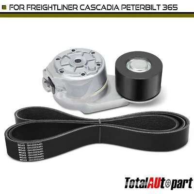 Kit de componentes de transmisión por correa serpentina de 2 piezas para Freightliner Cascadia Peterbilt 365 Foto 1 de 4
