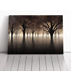 Luscious Tree Forest Canvas Wall Art Print Framed Picture Home Decor Living Room