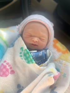 micro preemie silicone babies for sale