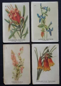 AUSTRALIAN WILD FLOWERS issued by B A T in 1913 SILKS - Picture 1 of 3