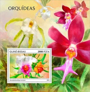 Guinea-Bissau - Flores de orquídea 2021 - Hoja de recuerdo de sello - GB210602b2 - Imagen 1 de 1