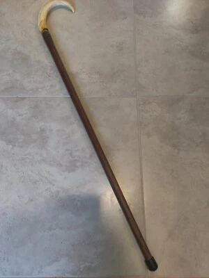 Bastón para caminar colmillo de jabalí Foto 1 de 4