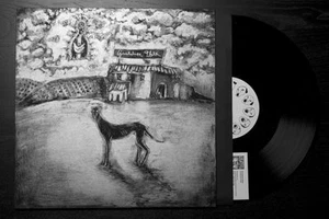 LP GUADALUPE PLATA VINILO PUNK BLUES +MP3 - Imagen 1 de 1