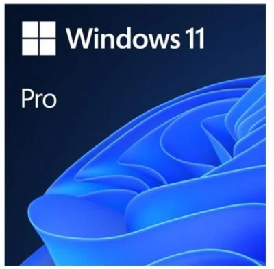 Microsoft DVD de Windows 11 Professional de 64 bits - Copia única - Imagen 1 de 2