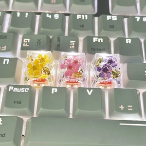 1Pcs Transparent Fleurs Sèches Keycapuchon Croisé Axe Clavier Mécanique Key Caps - Photo 1/13