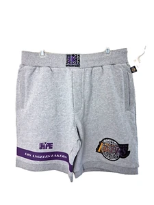 NBA X Two Hype Gray Los Angeles Lakers Culture Hoops Classic Fleece Shorts Lrg - Picture 1 of 15