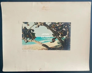 1910s 1920s NASSAU, BAHAMAS, W.R. SAUNDERS HAND TINTED PHOTOGRAPH SIGNED - Picture 1 of 5