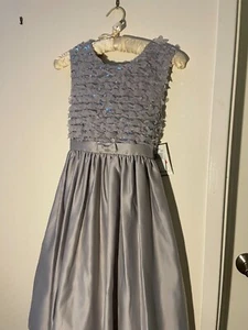 NEW Girls Satiny Silver Party/Occasion Sz 14 Dorissany - Picture 1 of 15