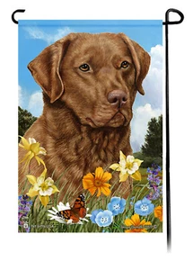 Sommerblumen Garten Flagge - roter Chesapeake Bay Retriever - Bild 1 von 1