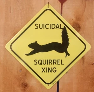 Ardilla suicida cruzando Xing símbolo humorístico divertido señal de ruta de carretera - Imagen 1 de 1