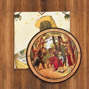 RARE band issued Neutral Milk Hotel Vinyl LP Box Set aeroplane collected works - Imagen 1 de 5