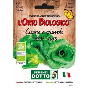 SEMI BIOLOGICI DI CICORIA GRUMOLO VERDE SCURO - Imagen 1 de 1