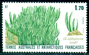 1988 Plants of Antarctica, Elaphoglossum randii fern,TAAF,Mi.233,MNH - Picture 1 of 1