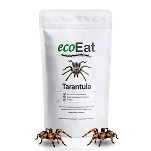 Edible Tarantula Spider - 100% Edible Bug Edible Dehydrated Zebra Tarantula I... - Picture 1 of 7