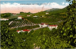 Postkarte San Diego Kalifornien Avocado Groves Leinen verschickt 195- - Bild 1 von 2