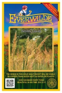 1000 Indian Grass Native Grass Seeds - Everwilde Farms Mylar Seed Packet - Picture 1 of 3