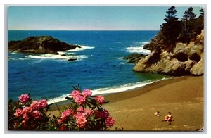 Postcard Oregon Washington Pacific Ocean Seacoast Beach Flowers People Onlooker - Bild 1 von 2
