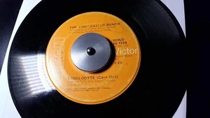 THE JIMMY CASTOR BUNCH-TROGLODYTE (CAVE MAN) /RCA 48-1029 - Picture 1 of 10