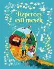 Tizperces Esti Mesek, Hungarian Book