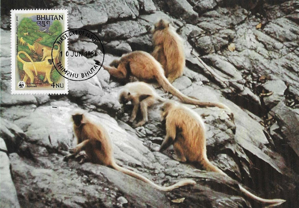 Golden Langur Monkeys Live Manas River Endangered Species Bhutan FDC Card 1984 - Image 1 of 1