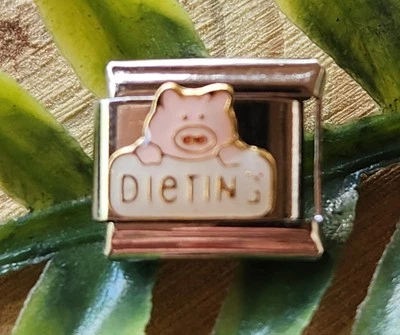 Dieting Diet Cute Pig Eating Healthy Food Italian Charm 9mm Bracelet Link  - Image 1 of 2
