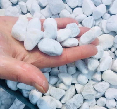 HCommerce Schneeweiß Dekosteine I Marmorkies I Carrara Kies I Körnung 15-25mm - Bild 1 von 4