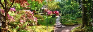 Natur - Panorama XL bedruckte Sichtschutzstreifen für Zaun - Bild 1 von 1
