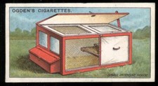 Tobacco Card, Ogdens, POULTRY REARING & MANAGEMENT, 1922, 1st Series, House, #5