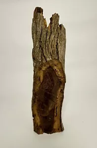 Hand Carved African Portrait Sculpture Mahogany 15” Tall - Picture 1 of 3