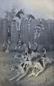 1893 Fox Hunting illustrated - Picture 1 of 4