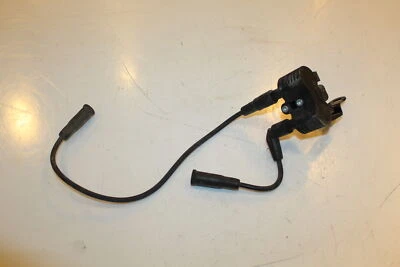 Harley-Davidson Sportster Iron XL883 2022 bobinas de encendido 31656-07 Foto 1 de 4