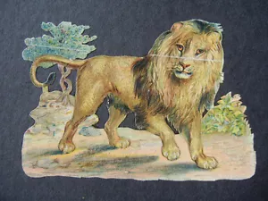 Vintage Fine Litho Print of Lion on Mount :- Decorative - Picture 1 of 1