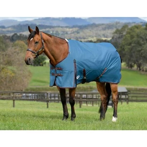 WeatherBeeta ComFiTec Classic Plus Turnout Blanket (50g Medium-Lite) - CLOSEOUT - Bild 1 von 13