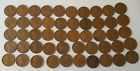 Roll of 50 Wheat Leaf Pennies - 1953D - Circulated