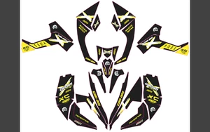 Graphics kit for Can Am Renegade 500 800r 800x 1000 decals ALL YEARS STICKERS - Picture 1 of 1