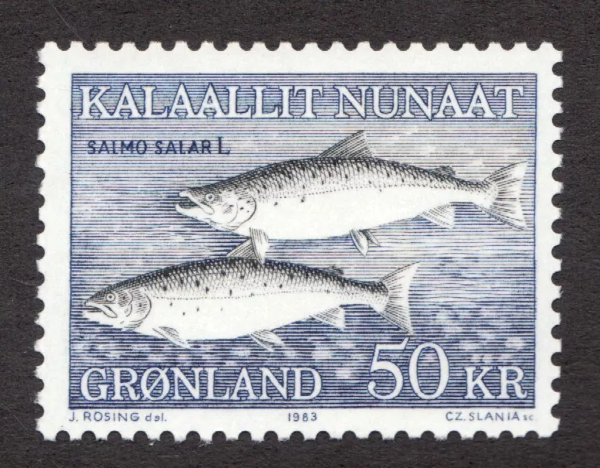 1983 Gronland Groenlandia Sc# 141 - Vida marina, salmón del Atlántico, peces. MNH Cv$18 Foto 1 de 1