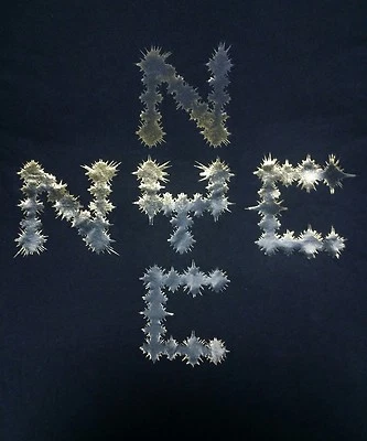 JAY Z x Barney's Нью-Йорк праздник футболка sz M сотрудничество Шон Картер рэп LE - Изображение 1 из 4