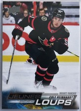 2022-23 UD Series 2 YOUNG GUNS ROOKIE FRENCH JEUNES LOUPS COLE REINHARDT