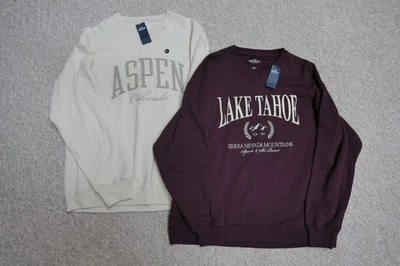 LOTE DE 2 sudaderas Hollister cuello en V con bordado Aspen/Lake Tahoe nuevas con etiquetas talla: M Foto 1 de 4