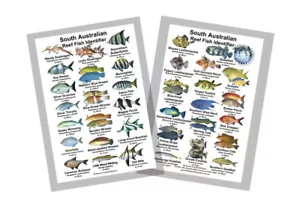 Reef Fish Identification Card – South Australia - Picture 1 of 1