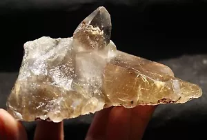 407.3g Nuevo hallazgo NATURAL Clear Golden RUTILATED QUARTZ Crystal Cluster Specimen - Imagen 1 de 12