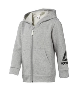 Reebok Boys Elements Hoodie Sweatshirt, Grey, Big Kids (8-20), XS - Picture 1 of 2