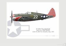 Warhead Illustrated P-47D Thunderbolt 525th FS, 86th FG, Aircraft Print
