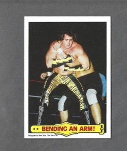 Brutus "The Barber" Beefcake 1985 Topps bWrestling #41 - Foto 1 di 2
