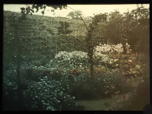 6 Photographies  divers  AUTOCHROMES vers  1900- 1920 - Imagen 1 de 7