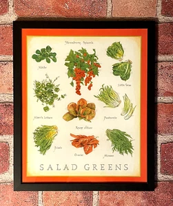 Cook's Illustrated "SALAD GREENS" • 11 1/2" x 9 1/2" Back Cover Framed Print - Bild 1 von 1