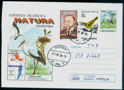 1998 Stork,White stork,nest/Ciconia ciconia,Birds,Romania,postally used cover - Image 1 of 2