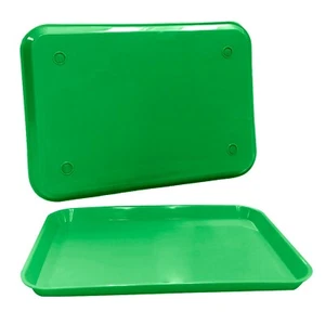 Green Dental Plastic Instrument Tray, Size B Autoclavable Medical 13.25" x 9.75" - Picture 1 of 5