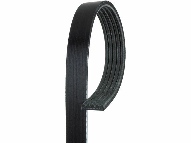 Cinturón multi costilla para Saturn L100 2001-2002 2,2 L 4 cilindros GAS Y559VG Foto 1 de 1